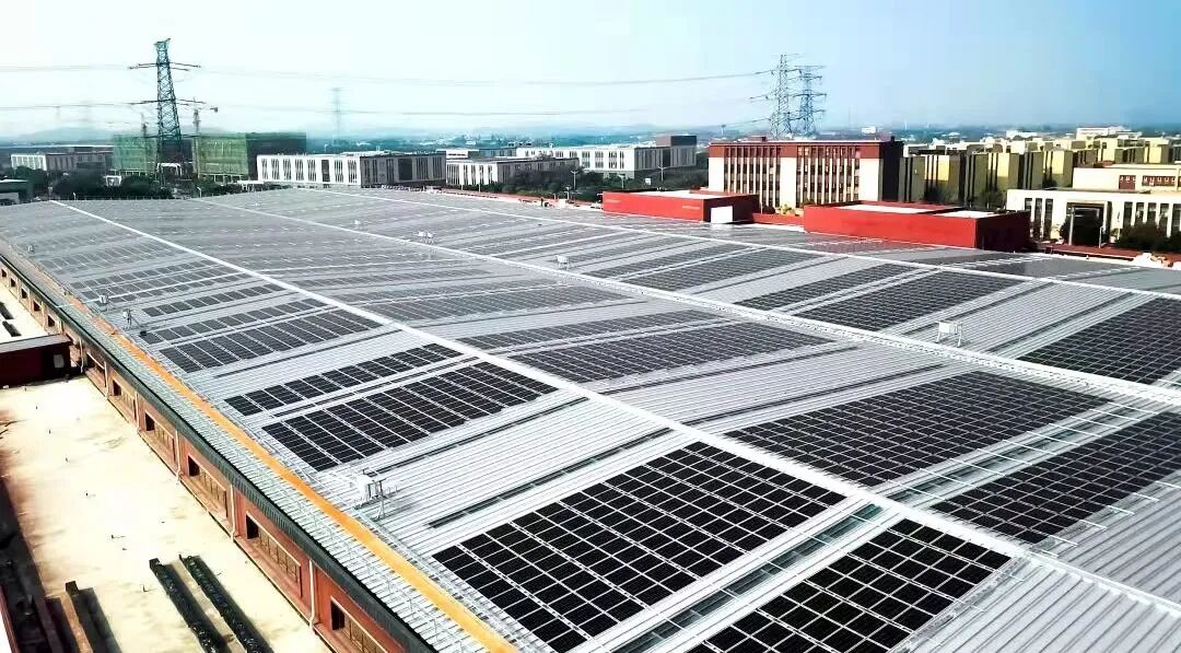 15865148.jpg 12121.jpg